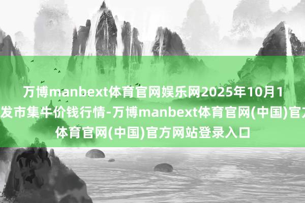 万博manbext体育官网娱乐网2025年10月18日宇宙主要批发市集牛价钱行情-万博manbext体育官网(中国)官方网站登录入口